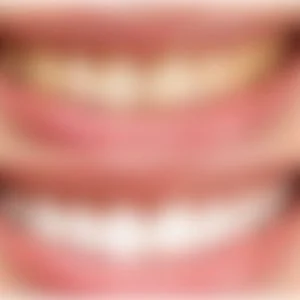 blur-estetik-anasayfa